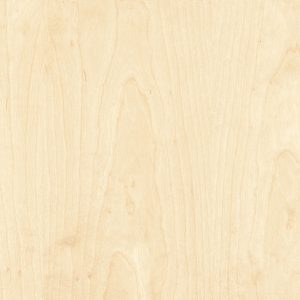 European Birch (Crown-cut)