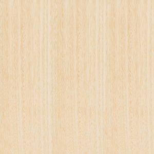 Tasmanian Ash