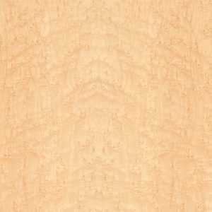 Birds Eye Maple