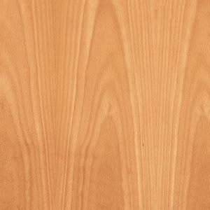 eco-cert European Beech FSC® C 004099