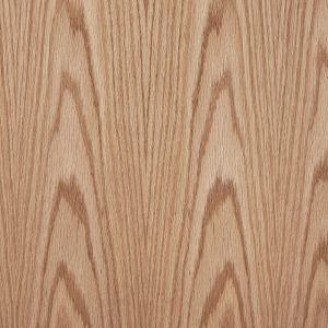 American Red Oak (Crown-cut)