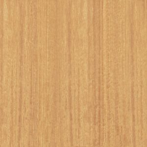 Tasmanian Southern Blue Gum