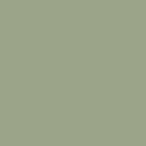 Pure Paper Color Skin Pale Green 018