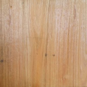 Tasmanian Stringybark