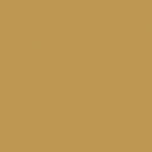 Pure Paper Color Skin Camel 023