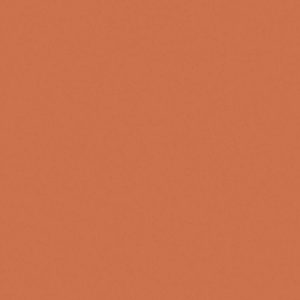 Pure Paper Color Skin Cognac 022