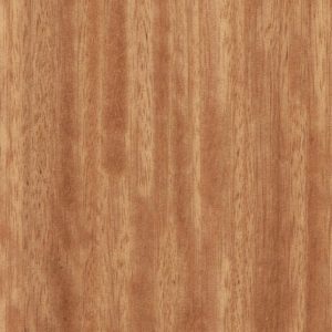 Blackbutt (Quarter-cut)